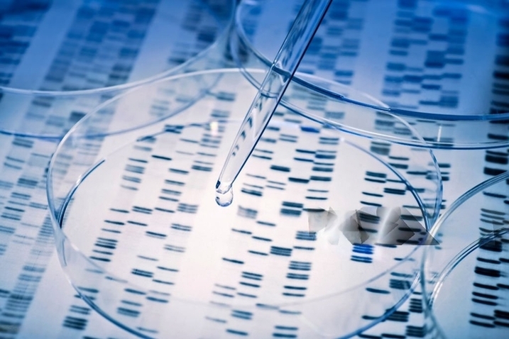 Metagenomic Sequencing