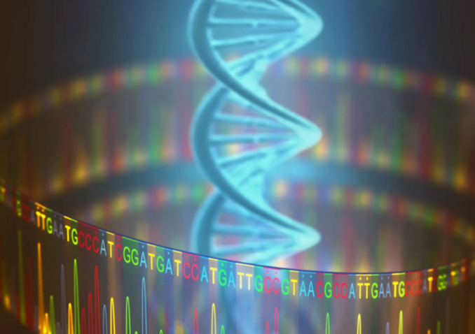 Sanger Sequencing